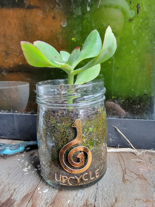 upcycled jam jar